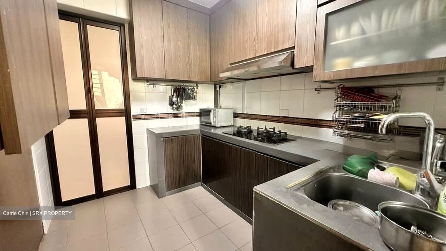 Blk 55 Havelock View (Bukit Merah), HDB 3 Rooms #542390291